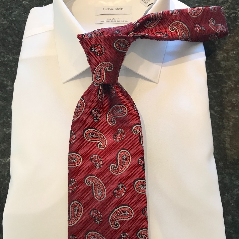 Stunningly Simple Zegna Paisley Tie